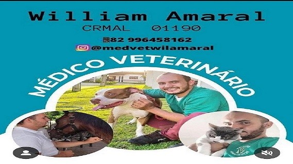 Willien Amaral - CRMVAL 1190