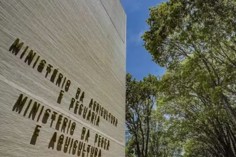 Concurso do Ministério da Pesca tem mais de 200 vagas e salários de até R$ 6,1 mil