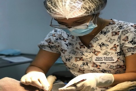 A Importância do Médico-Veterinário no Século Atual