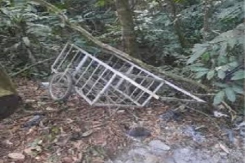 Indignação e Horror: Criança Encontrada Desacordada e Desfigurada após Estupro em Juiz de Fora