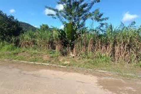 Pai Joga Bebê de Um Mês em Barranco de 10 Metros e É Preso por Tentativa de Homicídio