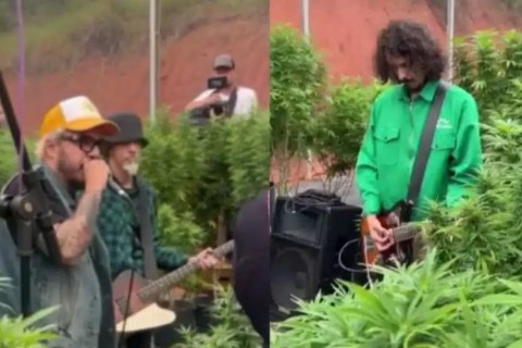 Banda de Marcelo D2 Grava Videoclipe no Meio de Plantação de Maconha
