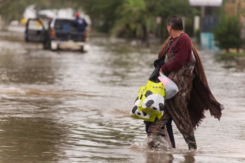 Leptospirose: Desafio Emergente no Rio Grande do Sul Após Catástrofe Natural