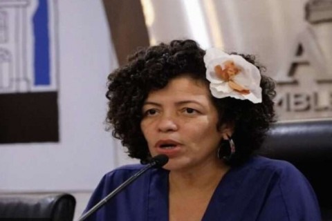 Controvérsia na Assembleia: Deputada Pernambucana Devolve Diárias Recebidas Indevidamente