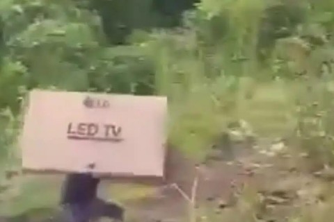 Populares saqueiam carga de eletrônicos e cervejas após acidente; VEJA VÍDEO
