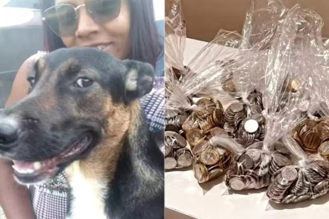 Família desiste do sonho de comprar carro e usa economias para salvar a vida do cachorro de estimação