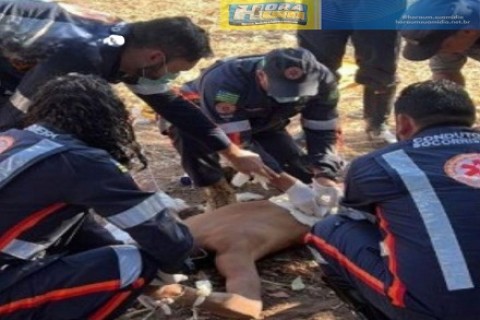 IMAGENS FORTES: Violência Rural e o Colapso da Segurança Pública: Confusão Familiar Escalada Termina em Tragédia com Machado e Foice